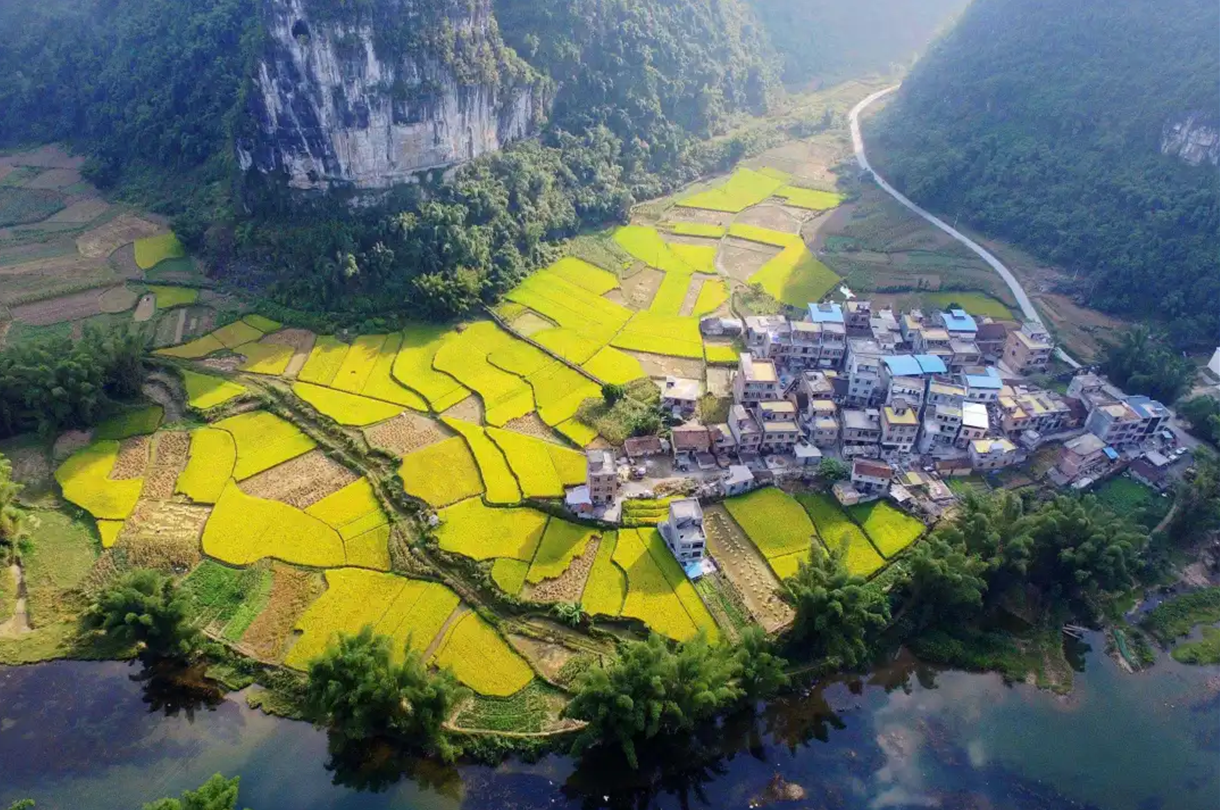 QQ截图20210604093957.png